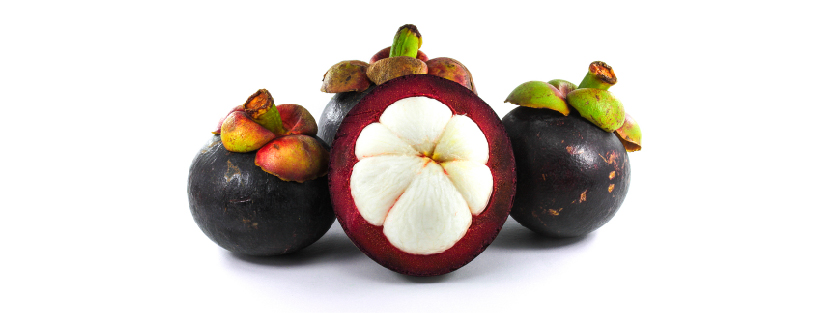 240314-WEBSITE-SOURSOP-05.jpg
